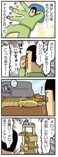 ヤンチャだけど根が優しい猫