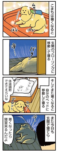 ゴールデンレトリバーは「心優しい」というのは本当です