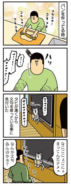 パン生地に何かしらの恨みがある猫