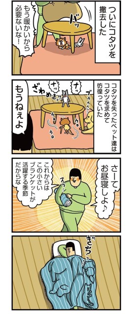 こたつを失ったペット達、ざわめき立つ