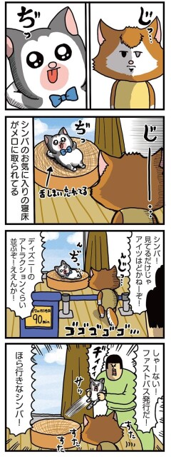 夏なのに暑苦しい、うちの猫たち