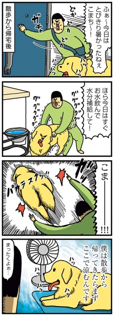 散歩から帰宅後