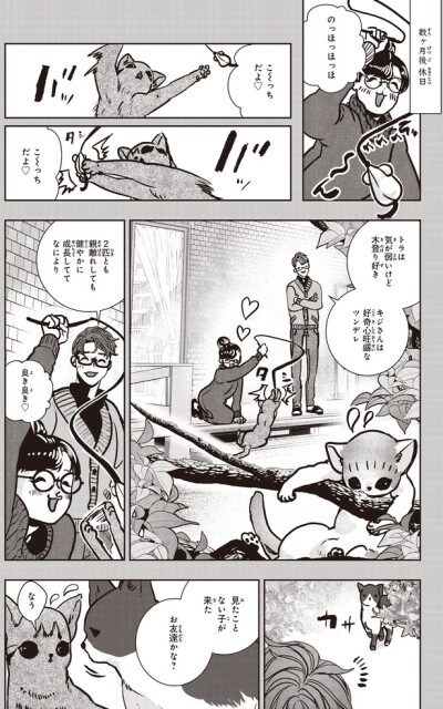見たことない子が来た