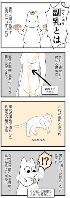 副乳とは