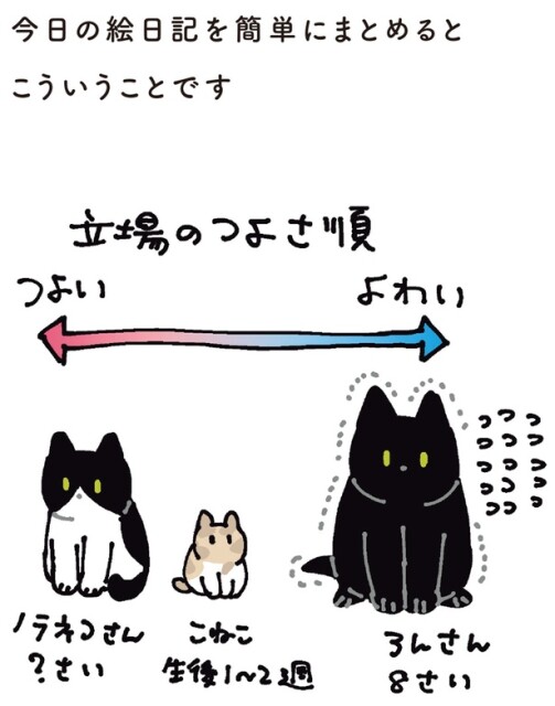 立場のつよさ順
