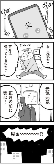 正月は帰ってくるのか？