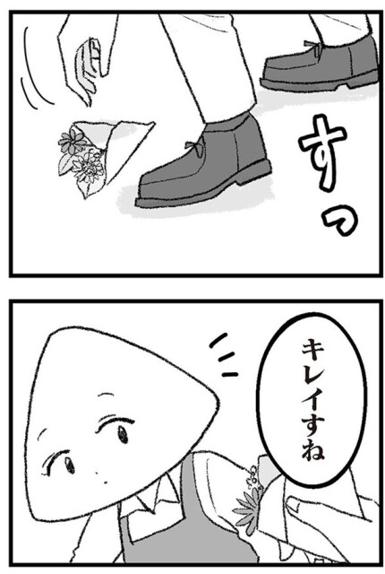 キレイすね