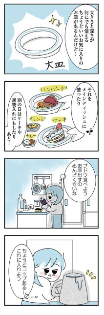 お気に入りのお皿があるんだけど…