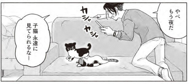 子猫の里親になった作曲家。「永遠に見てられるなー」猫と過ごす幸せに浸る！