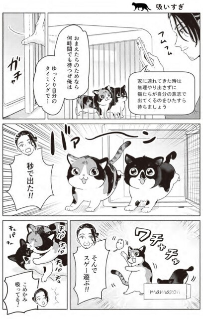秒で出た！！