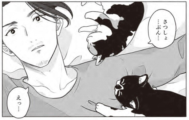 殺処分直前の猫を救いたい！ 貧乏作曲家の猫愛が止まらない