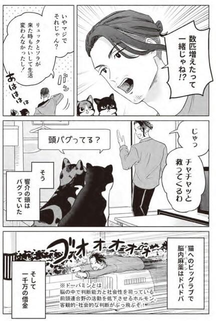 数匹増えたって一緒じゃね！？