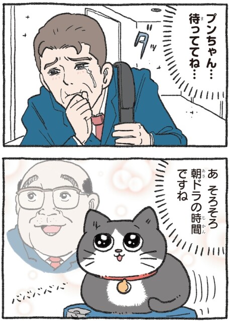 そろそろ朝ドラの時間ですね