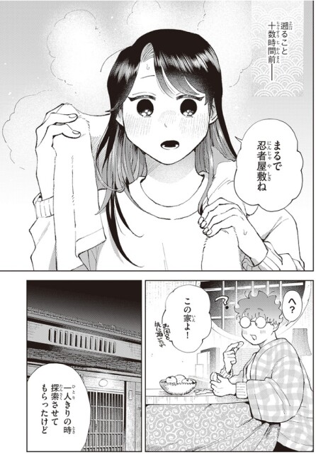 まるで忍者屋敷ね