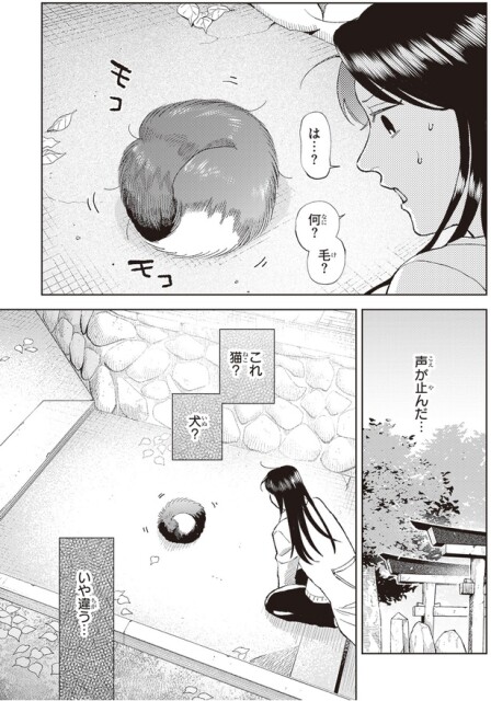 何？毛？