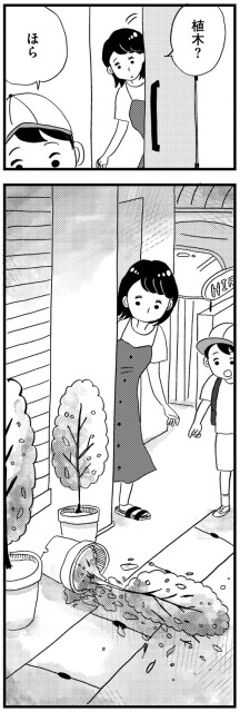 植木？