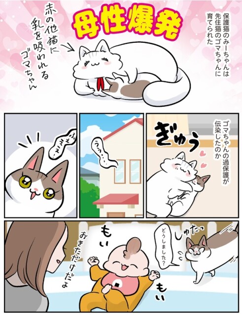 過保護が伝染したのか