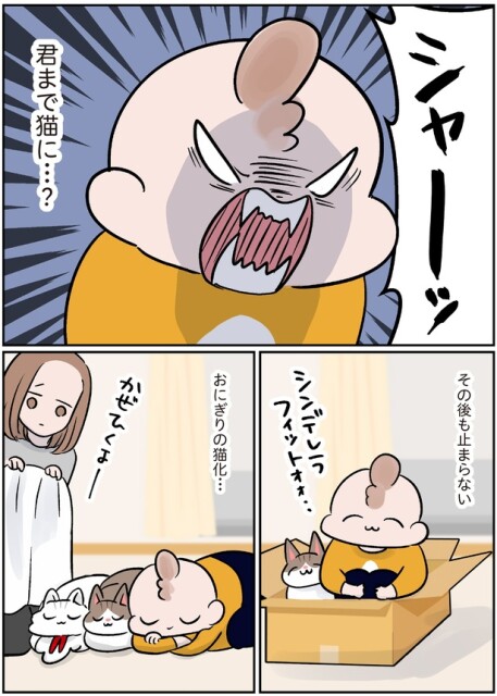 君まで猫に…？