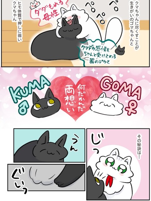 両想い
