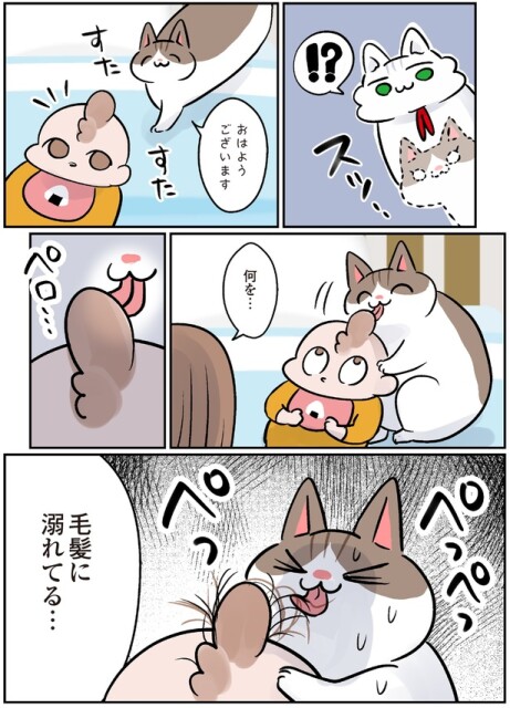 何を…