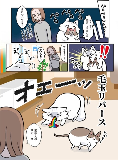 毛玉リバース