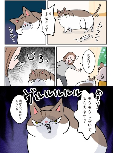 また落とした！