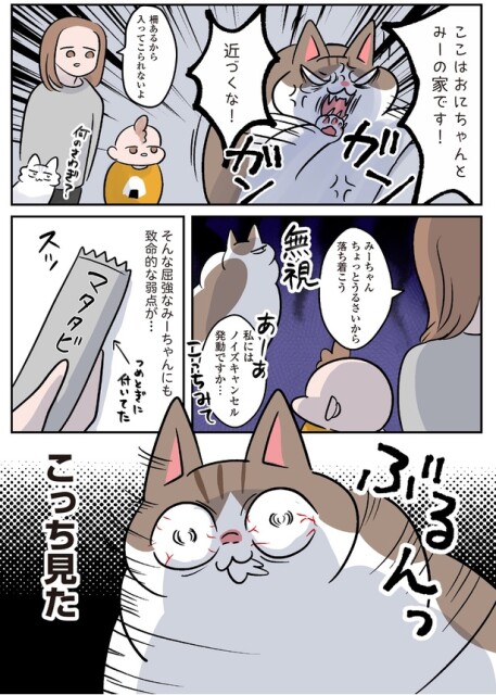 致命的な弱点が…