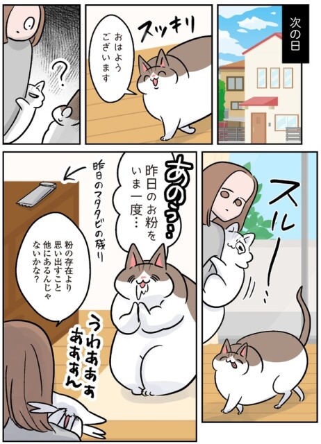 昨日のお粉をいま一度…