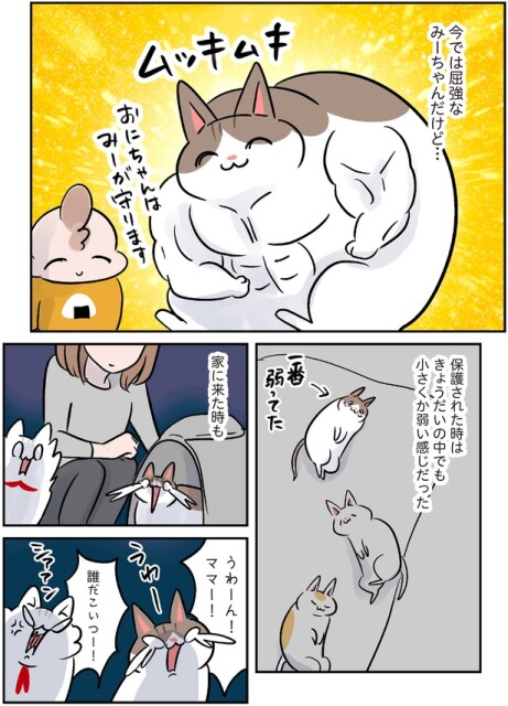 ムッキムキ
