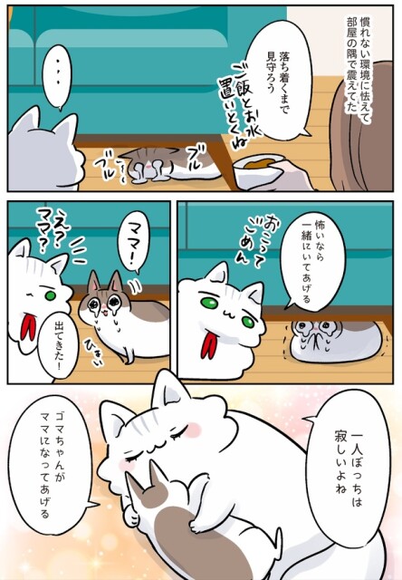 落ち着くまで見守ろう