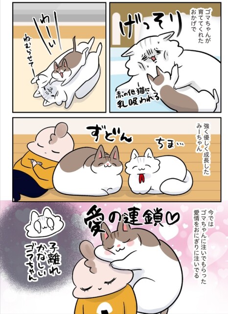 愛の連鎖