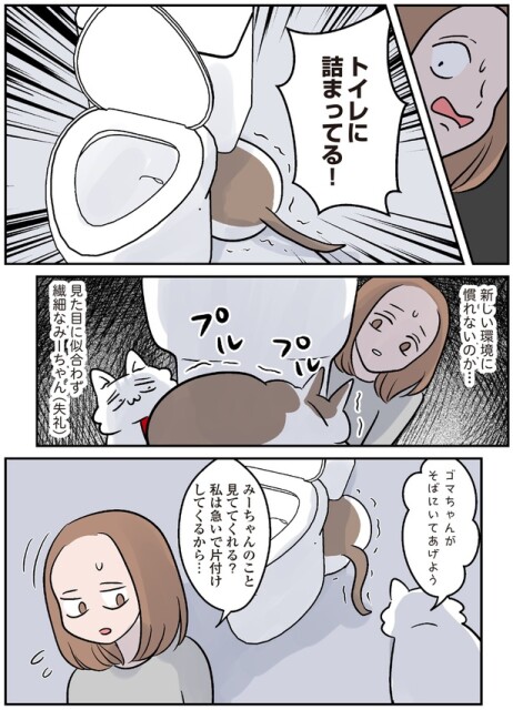 トイレに詰まってる！