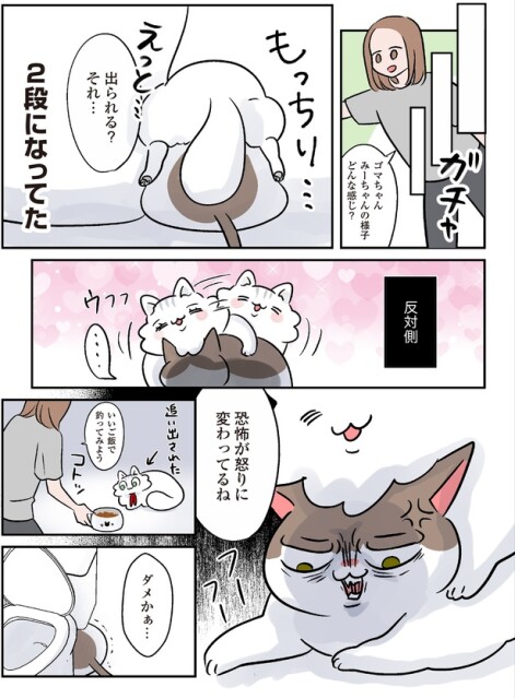 2段になってた