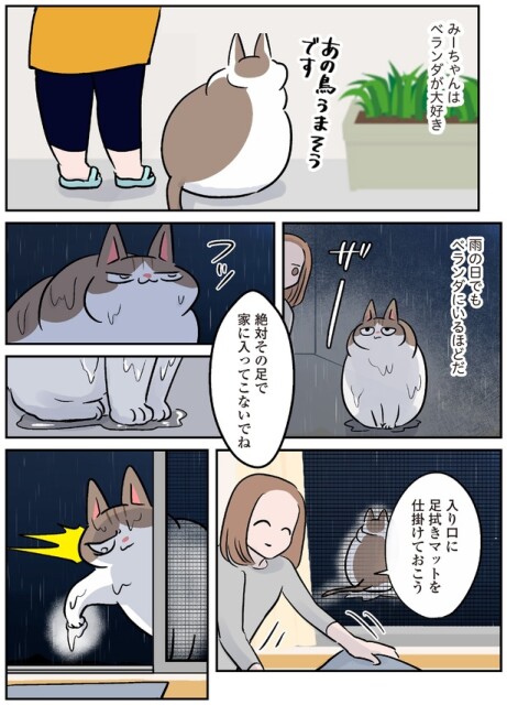 ベランダが大好き