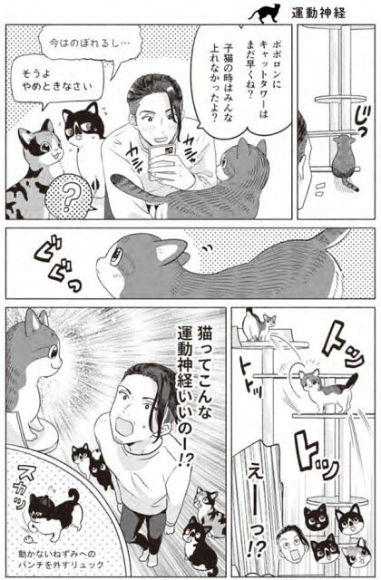 猫ってこんな運動神経いいのー！？
