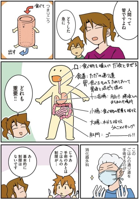 人間は管