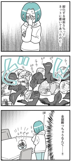 『うずら男〜モラハラかまって夫が人間をやめるまで〜』より