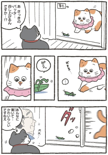 召し上がるんですか…！？