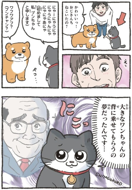 おじさんちねこいたの？