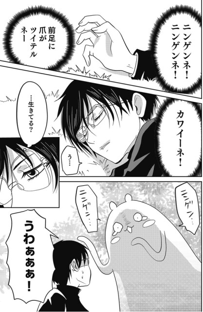 カワイーネ！