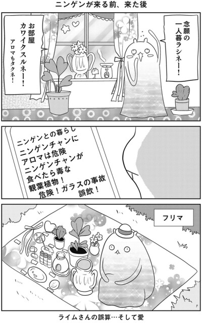 お部屋カワイクスルネー！