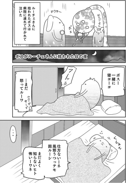 一緒に寝ヨーヨ