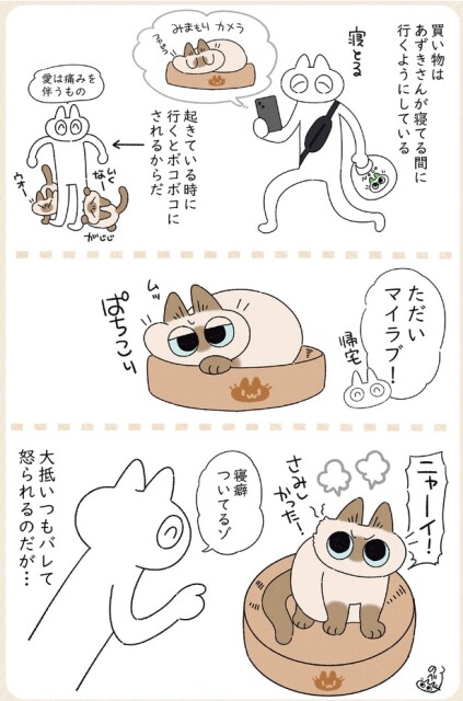 ただいマイラブ！