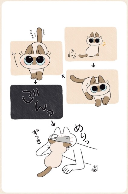 めりっ…
