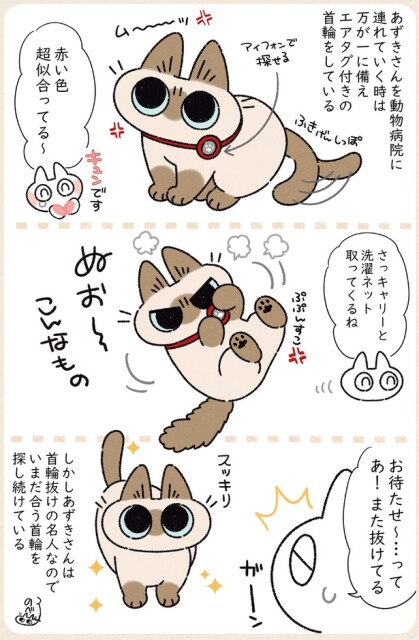 また抜けてる
