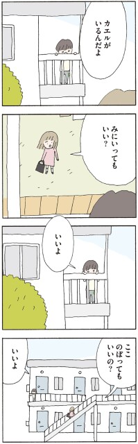 カエルがいるんだよ