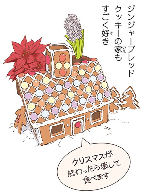 ジンジャーブレッドクッキーの家もすごく好き