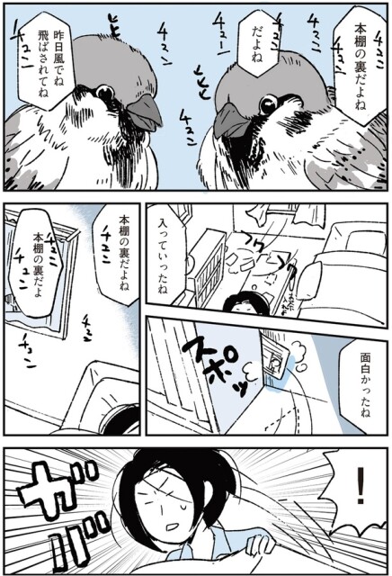 面白かったね