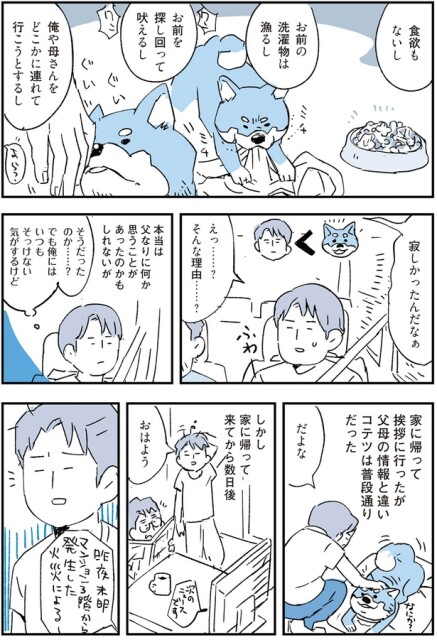  寂しかったんだなぁ