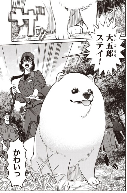 大五郎ステイ！
